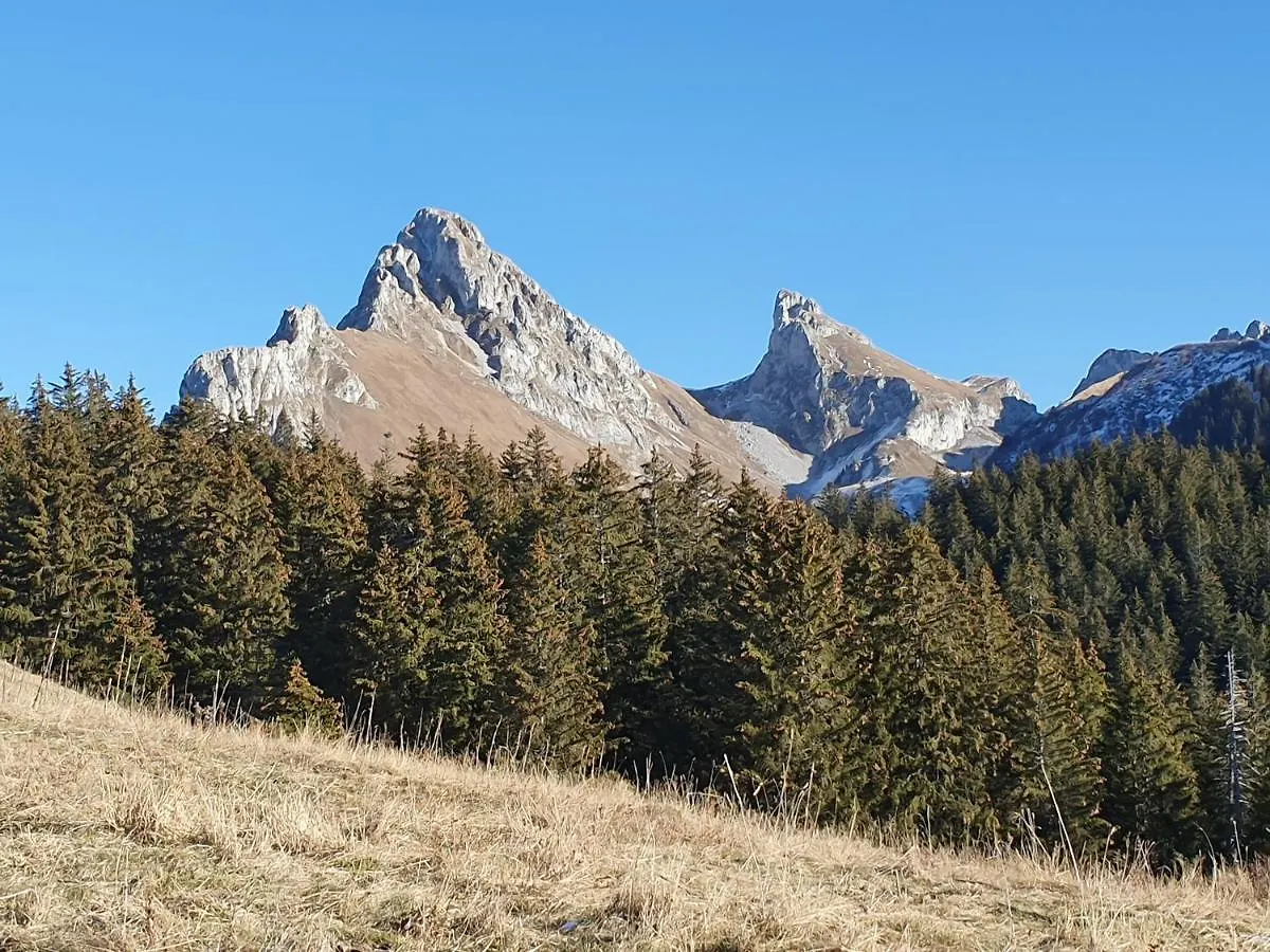 Chalet Tante Emma Vacheresse 0*,  France